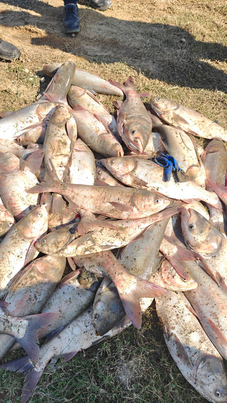 2024.11.23-֮СҪɣСѩԱŽͼСͼ011.jpg